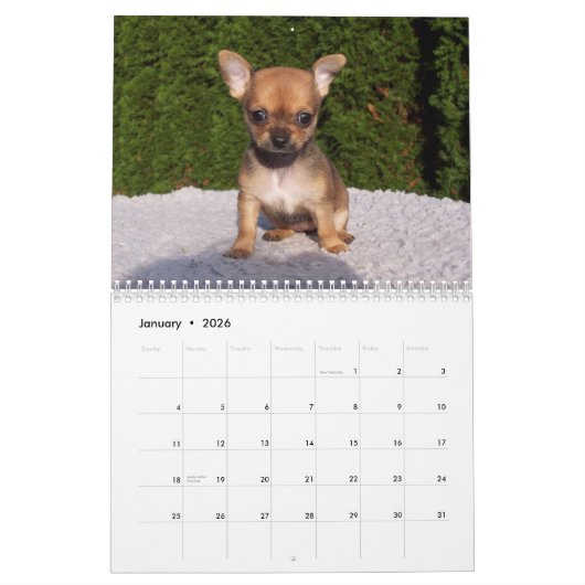 Calendrier Chihuahua 2023 La Maison N'Est Pas Une  (Jan 2026)