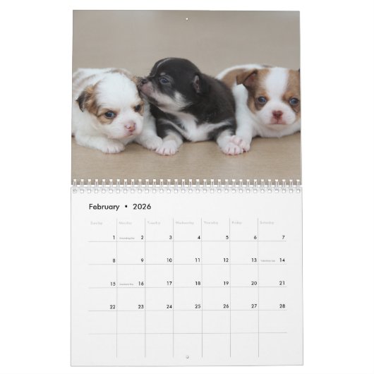 Calendrier Chihuahua 2023 Photo House N'Est Pas Un (Feb 2026)