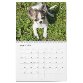 Calendrier Chihuahua 2023 Photo Whats up (Mar 2026)