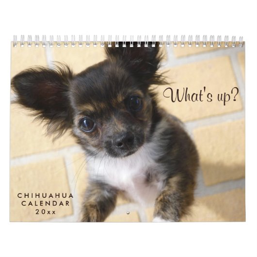 Calendrier Chihuahua 2023 Photo Whats up (Protection)