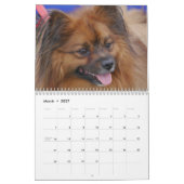 Calendrier Chihuahua 2025 (Mar 2027)