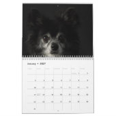 Calendrier Chihuahua 2025 (Jan 2027)