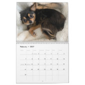 Calendrier Chihuahua 2025 (Feb 2027)