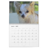 Calendrier Chihuahua 2025 (Mar 2027)