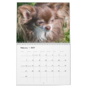 Calendrier Chihuahua 2025 (Feb 2027)