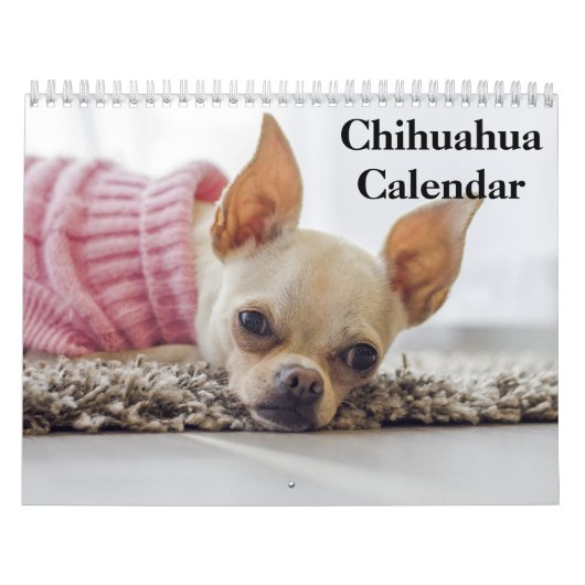 Calendrier Chihuahua 2025 (Protection)
