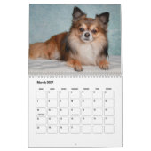Calendrier Chihuahua Chien (Mar 2027)