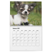 Calendrier Chihuahua Chien (Feb 2027)