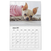 Calendrier Chihuahua Chien (Jan 2027)