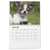 Calendrier Chihuahua Chien (Feb 2026)