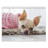 Calendrier Chihuahua Chien (Protection)