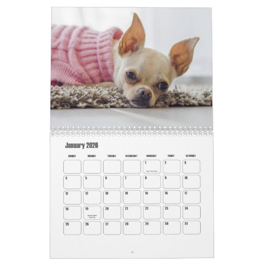 Calendrier Chihuahua Chien (Jan 2026)