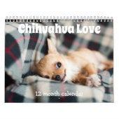 Calendrier Chihuahua Chiens adorables 2026 (Protection)