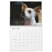 Calendrier Chihuahua Chiens adorables 2026 (Mar 2027)