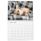 Calendrier Chihuahua Chiens adorables 2026 (Jan 2027)