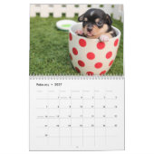 Calendrier Chihuahua Chiens adorables 2026 (Feb 2027)