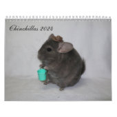 Calendrier Chinchilla (Protection)