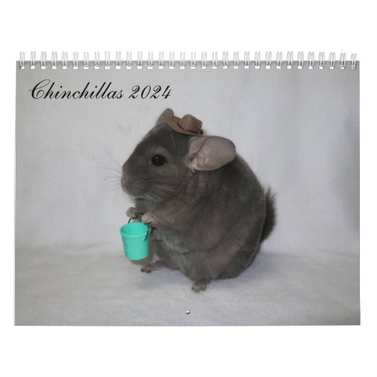 Calendrier Chinchilla (Protection)