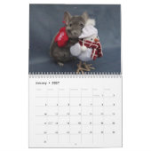 Calendrier Chinchilla (Jan 2027)