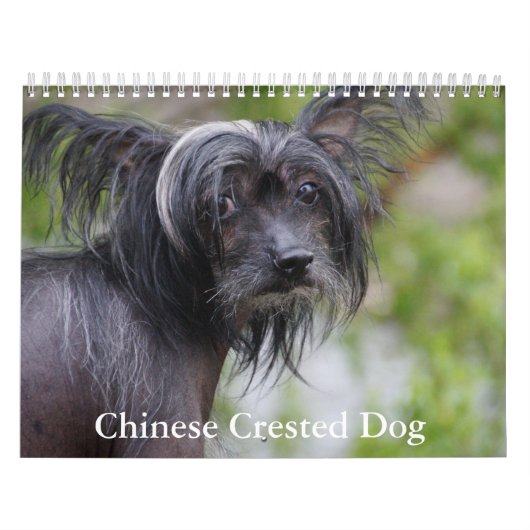 Calendrier chinois des chiens de race (Protection)