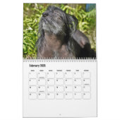 Calendrier chinois des chiens de race (Feb 2026)