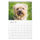 Calendrier Chiot maltais maltais 2025 (Feb 2027)