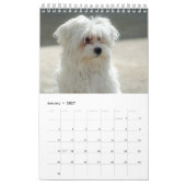 Calendrier Chiot maltais maltais 2025 (Jan 2027)