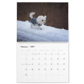 Calendrier Chiot maltais maltais 2025 (Feb 2027)