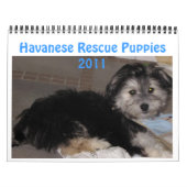 Calendrier Chiots 2011 de Havanese Rescu (Protection)