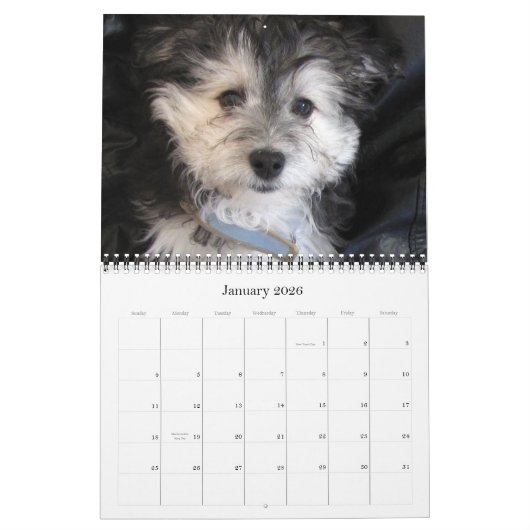 Calendrier Chiots 2011 de Havanese Rescu (Jan 2026)