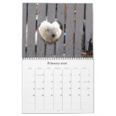 Calendrier Chiots 2011 de Havanese Rescu (Feb 2026)