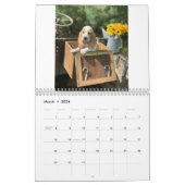 Calendrier Chiots 2019 d'olive et de trains (Mar 2026)