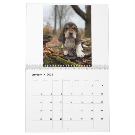 Calendrier Chiots de Basset hound (Jan 2026)