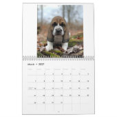 Calendrier Chiots de Basset hound (Mar 2027)