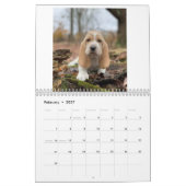 Calendrier Chiots de Basset hound (Feb 2027)