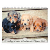 Calendrier Chiots de Dachshund 2013 (Protection)