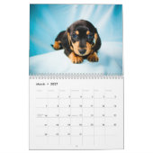 Calendrier Chiots de Dachshund 2014 (Mar 2027)