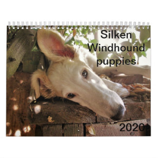 Calendrier Chiots de la vallée de la Silken 2020