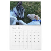 Calendrier Chiots de la vallée de la Silken 2020 (Feb 2026)