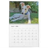 Calendrier Chiots de la vallée de la Silken 2020 (Mar 2026)