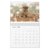 Calendrier Chiots de Shiba Inu (Jan 2026)