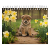 Calendrier Chiots de Shiba Inu (Protection)