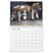 Calendrier Chiots de Silken Windhounds 2021 (Mar 2027)