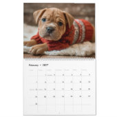 Calendrier Chiots en Pulls (Feb 2027)