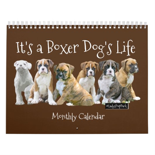 Calendrier Chiots mignons de boxeur (Protection)