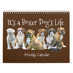 Calendrier Chiots mignons de boxeur