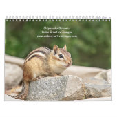 Calendrier Chipmunk 2026 (Protection)