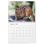 Calendrier Chipmunk 2026 (Feb 2027)