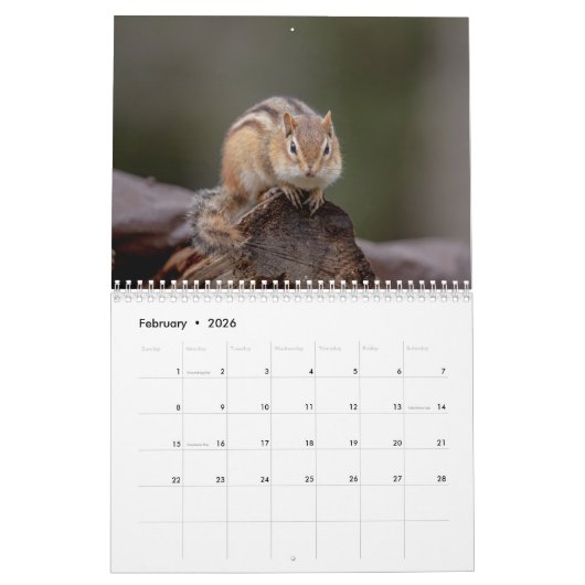 Calendrier Chipmunk 2026 (Feb 2026)
