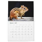 Calendrier Chipmunk 2026 (Feb 2027)